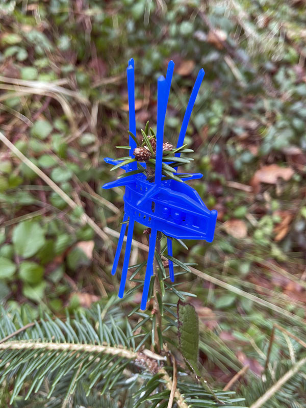 Blaue Terminaltrieb-Schutzmanschette