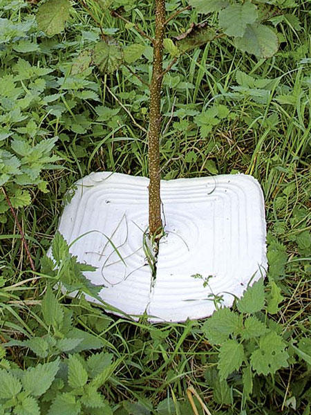 eco_mulchplatte_2_81057_1