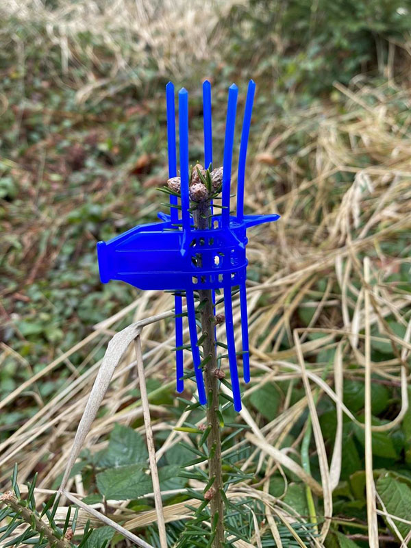 Blaue Terminaltrieb-Schutzmanschette