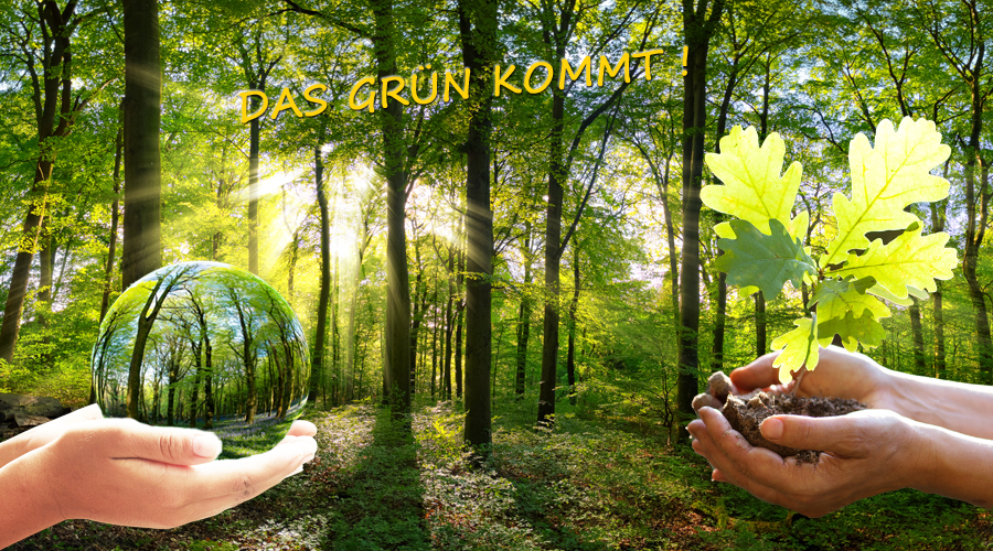 Banner die-Forstpflanze Banner die-Forstpflanze