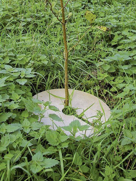 mulchplatte_aus_holzfaser_81058_1