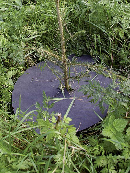 texon_baumschutzscheibe_2_81062_1