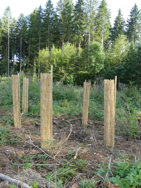 Wuchshülle ReetProtect