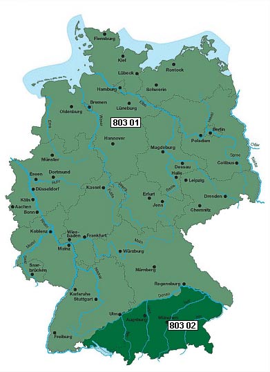 alnus-incana-herkunft